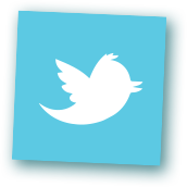 twitter logo